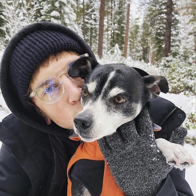 person holding dog in snow